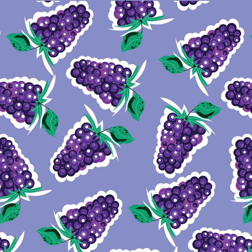 Summer pattern with blackberry on lavender background vector