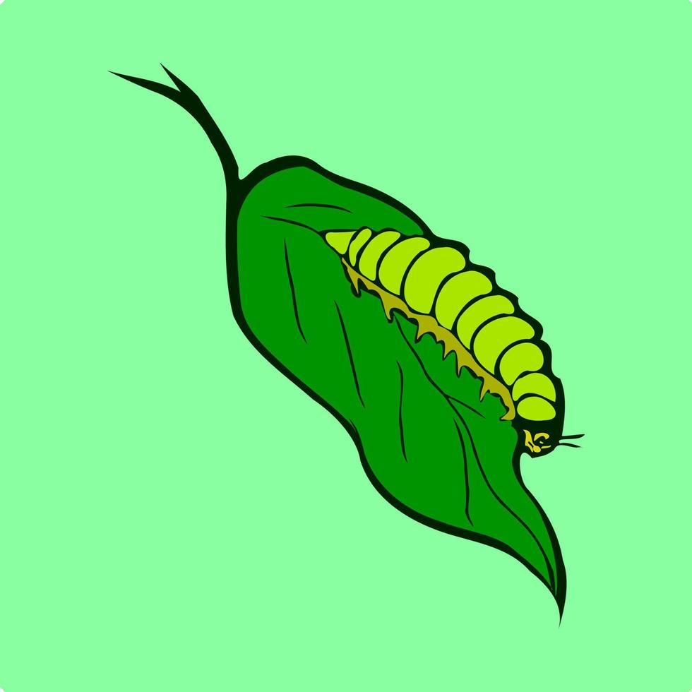 Caterpillar on the leaf vector