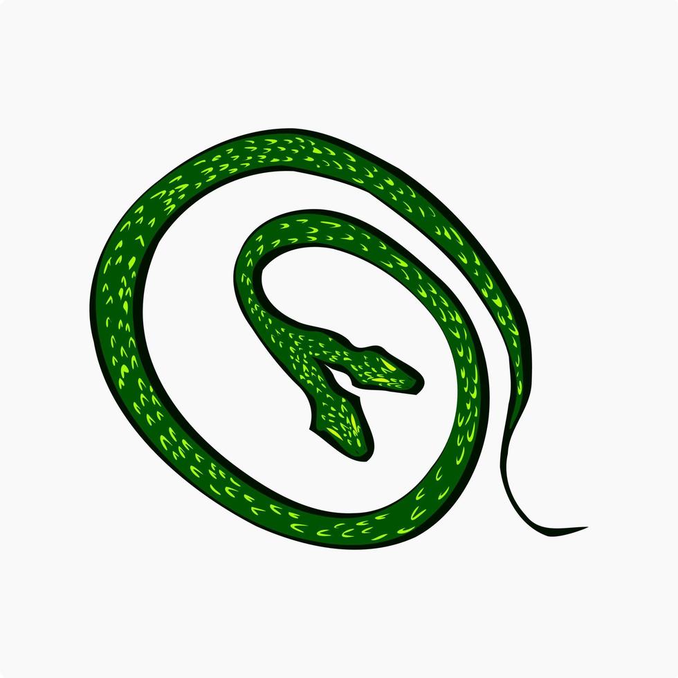 Two head snake make circle shape vector