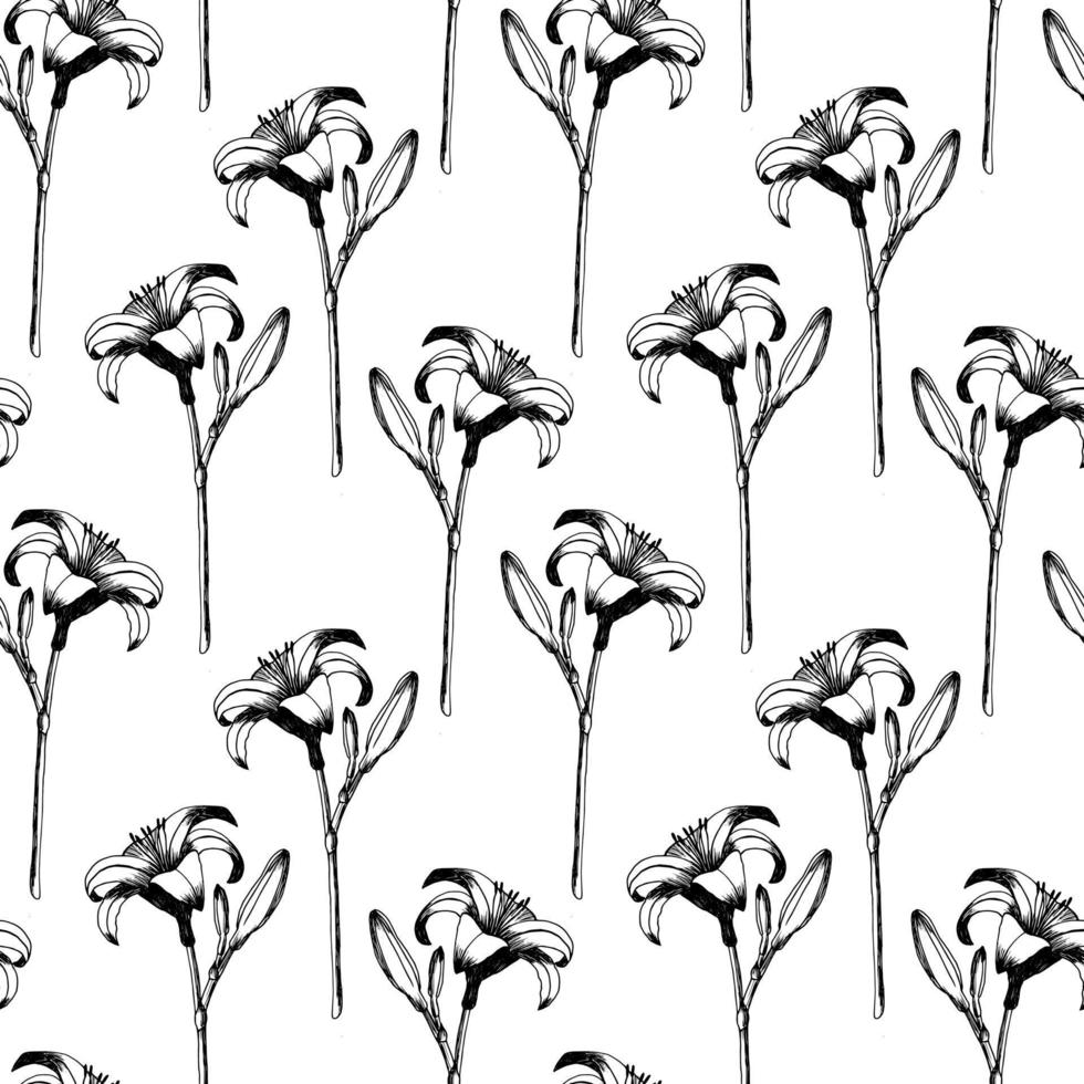 Daylily vector seamless pattern. Hand drawn flowers of day lily on white background. Design for wedding decor, wallpapers, curtains, textile, wrapping paper. Retro pattern.