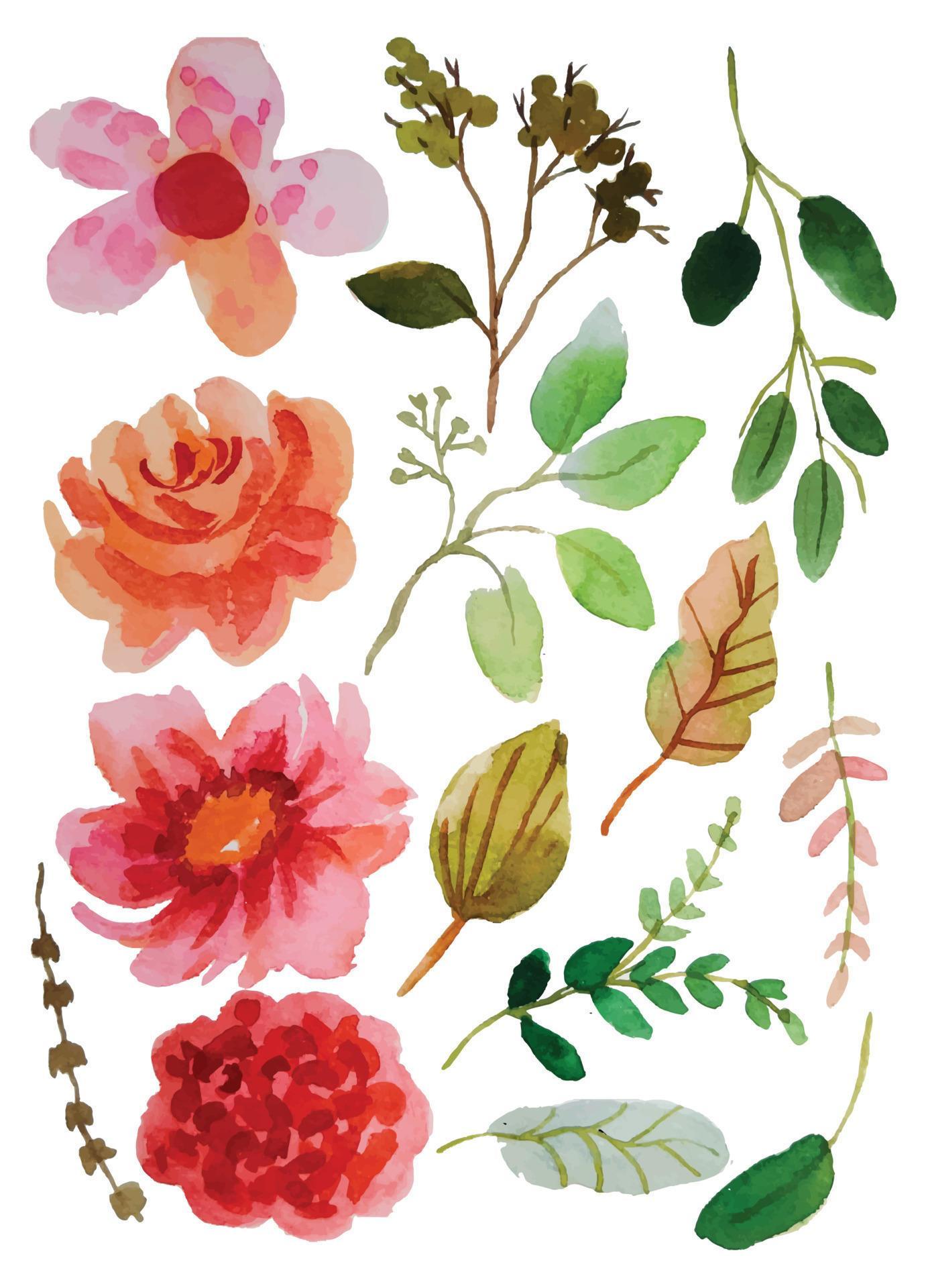 watercolor flower elements clipart 20580207 Vector Art at Vecteezy