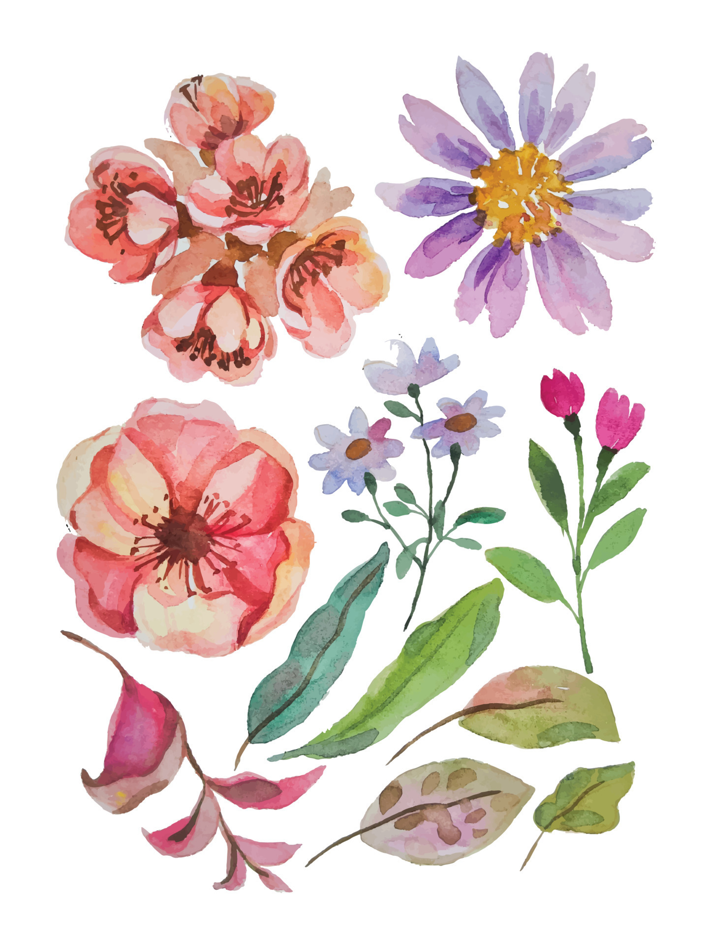 watercolor flower elements clipart 20580209 Vector Art at Vecteezy