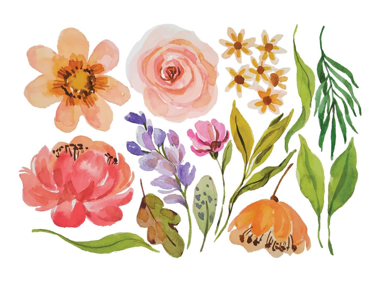 watercolor flower elements clipart handraw vector