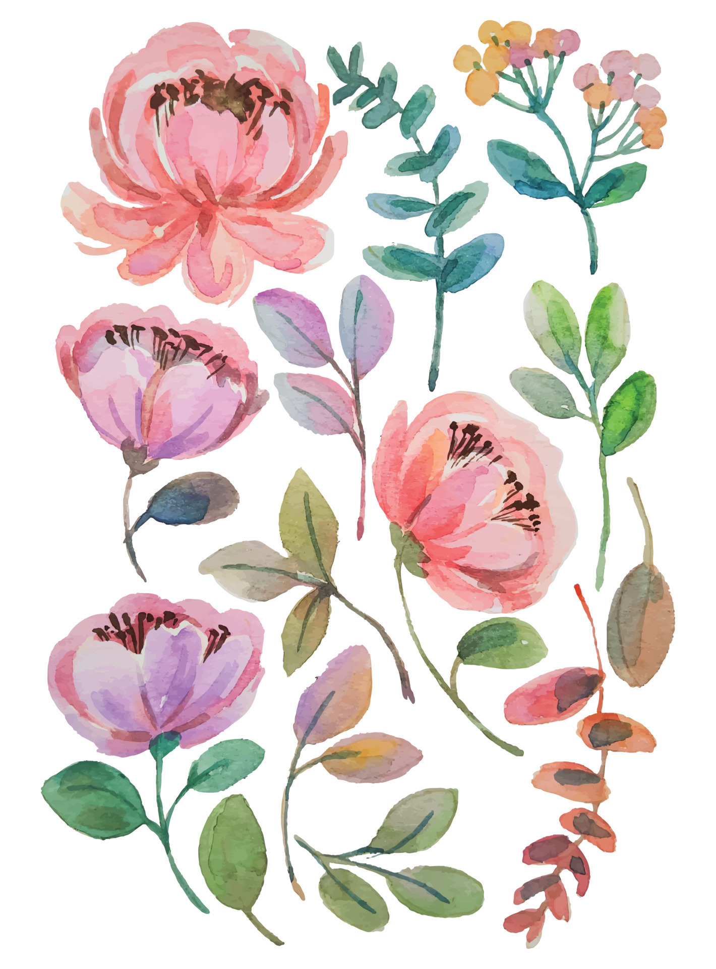 watercolor flower elements clipart 20580218 Vector Art at Vecteezy