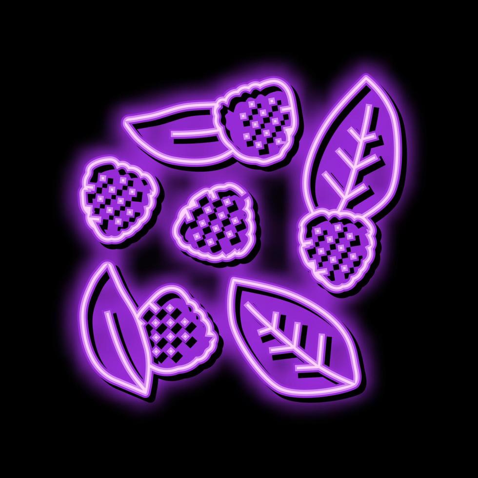 bunch of blackberries ripe leaf neon glow icon illustration vector