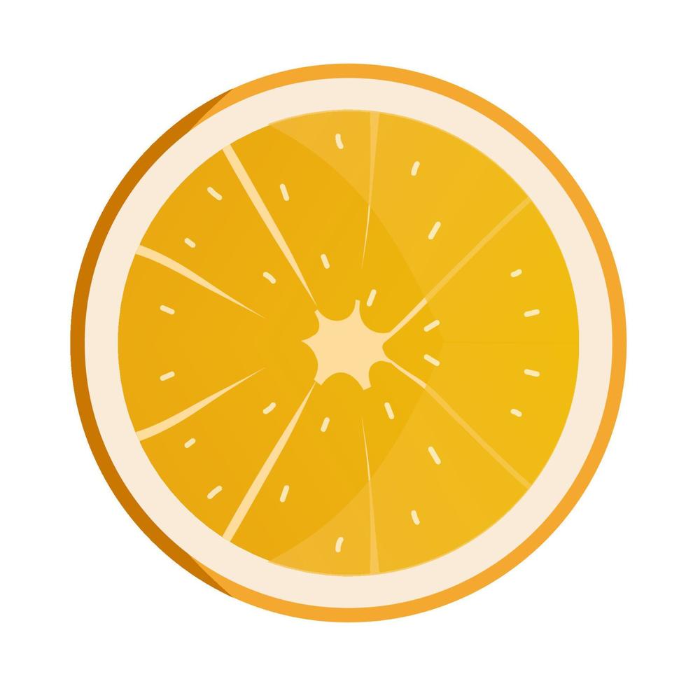 Slice of orange. Fresh fruit background isolated on white. vector illustration.