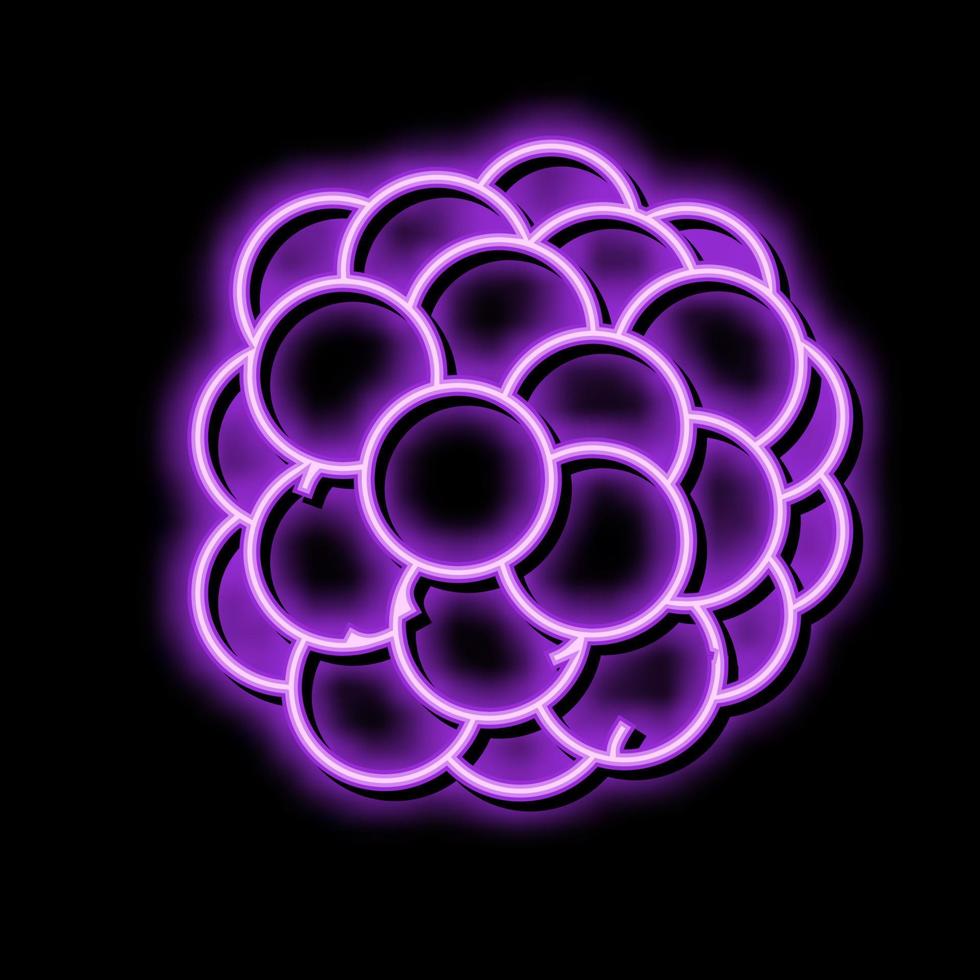 blackberry juicy berry neon glow icon illustration vector