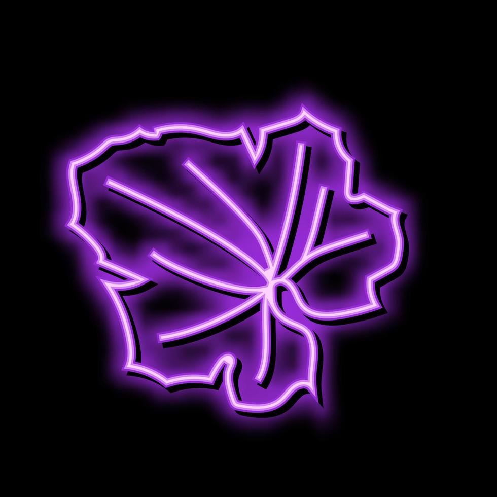 leaf melon cantaloupe neon glow icon illustration vector
