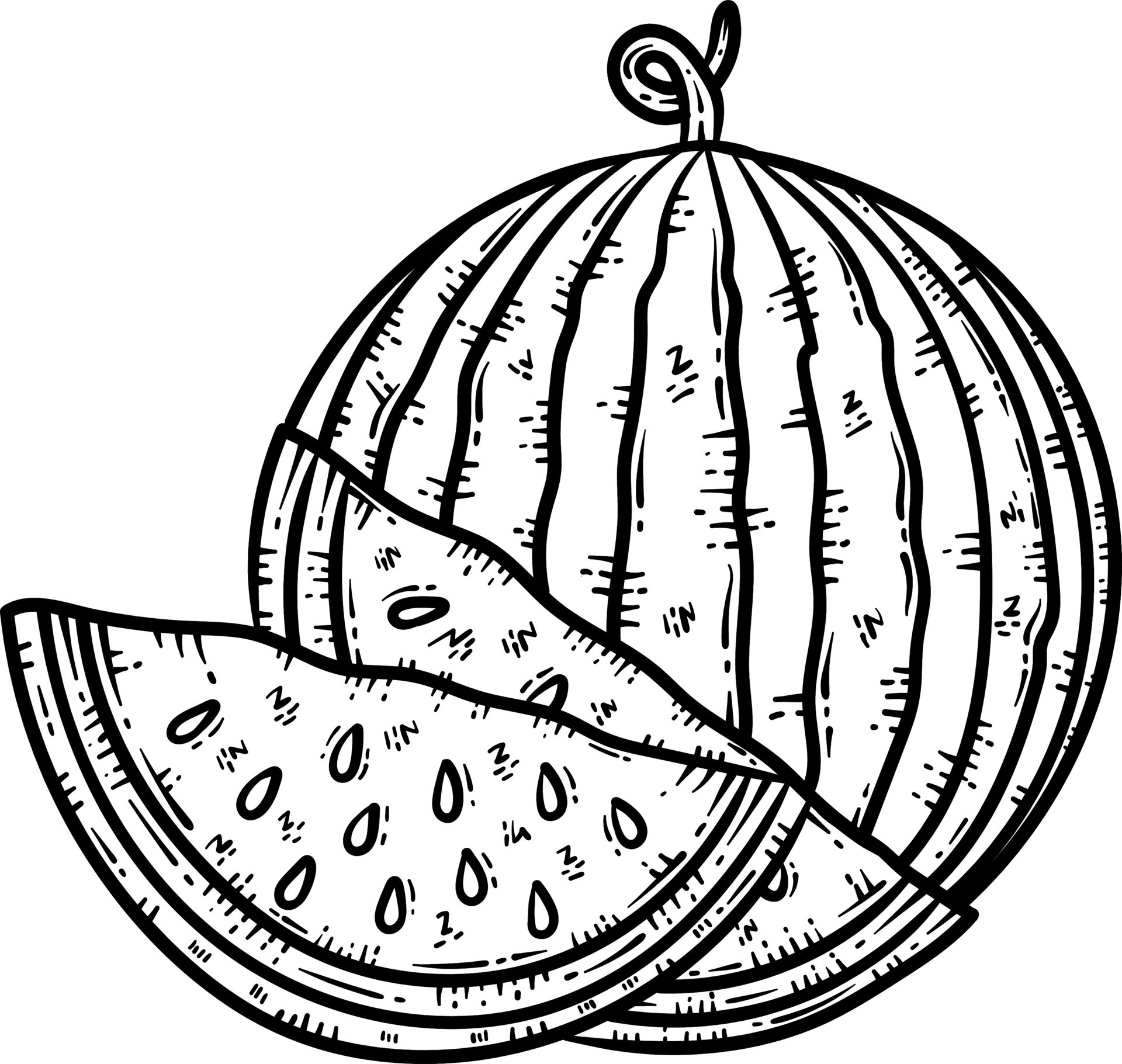 Summer Watermelon Line Art Coloring Page for Adult 20581516 Vector Art