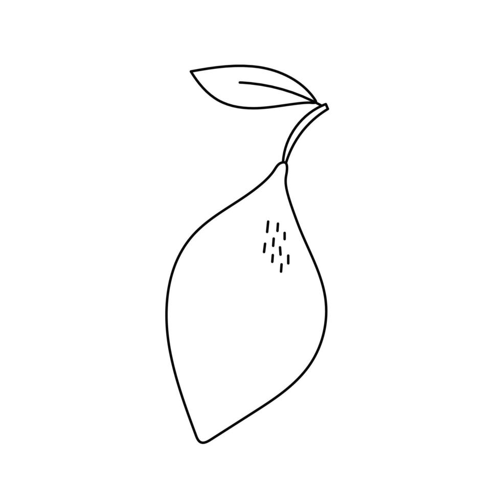 Doodle lemon with leaf vector