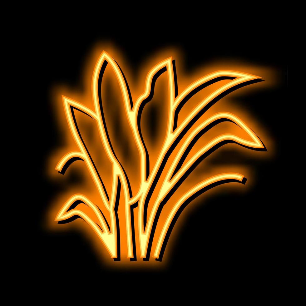 Amazonas espada neón resplandor icono ilustración vector