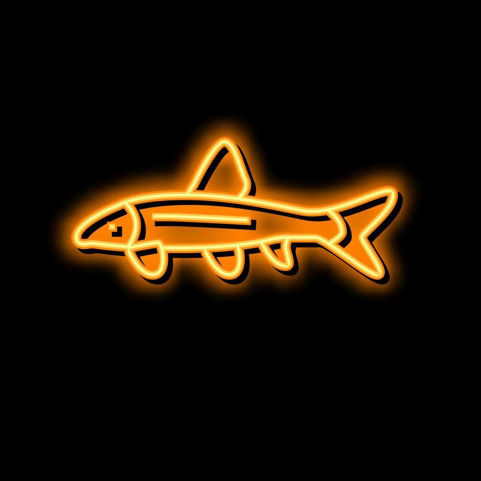 siamese algae eater neon glow icon illustration vector