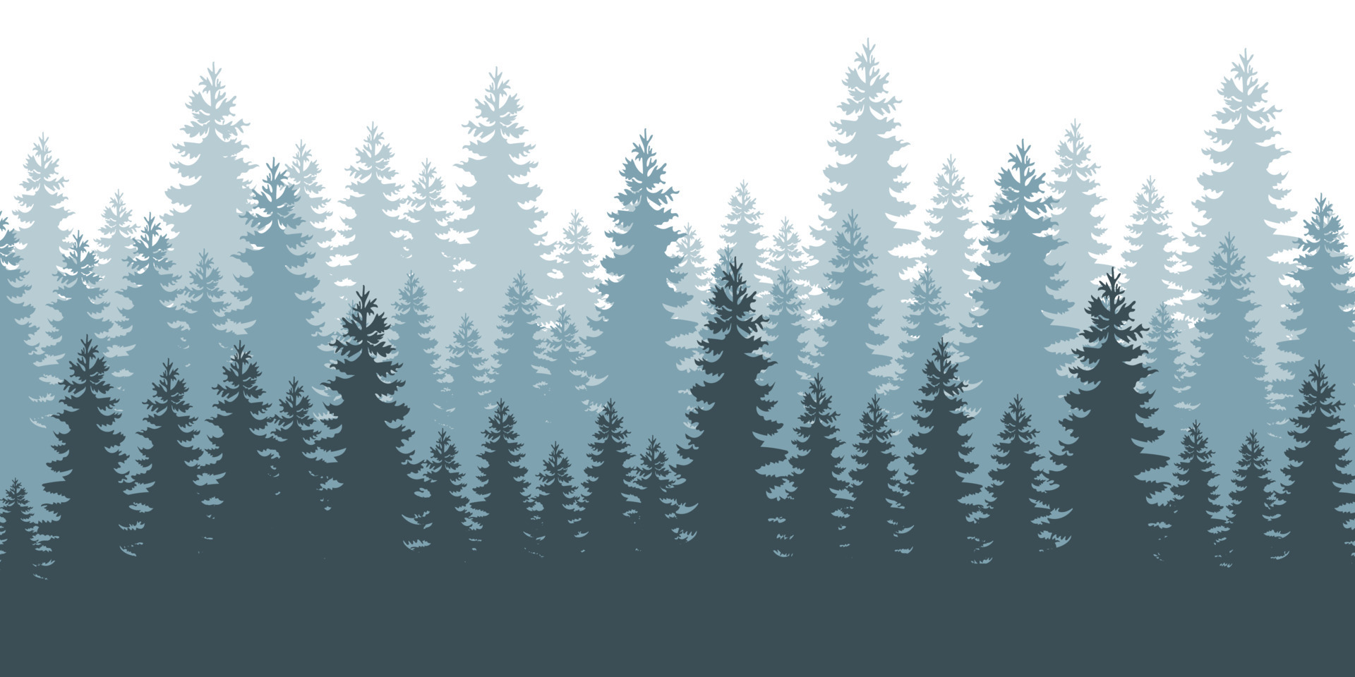 Coniferous forest background. Fog evergreen coniferous trees. 20582658