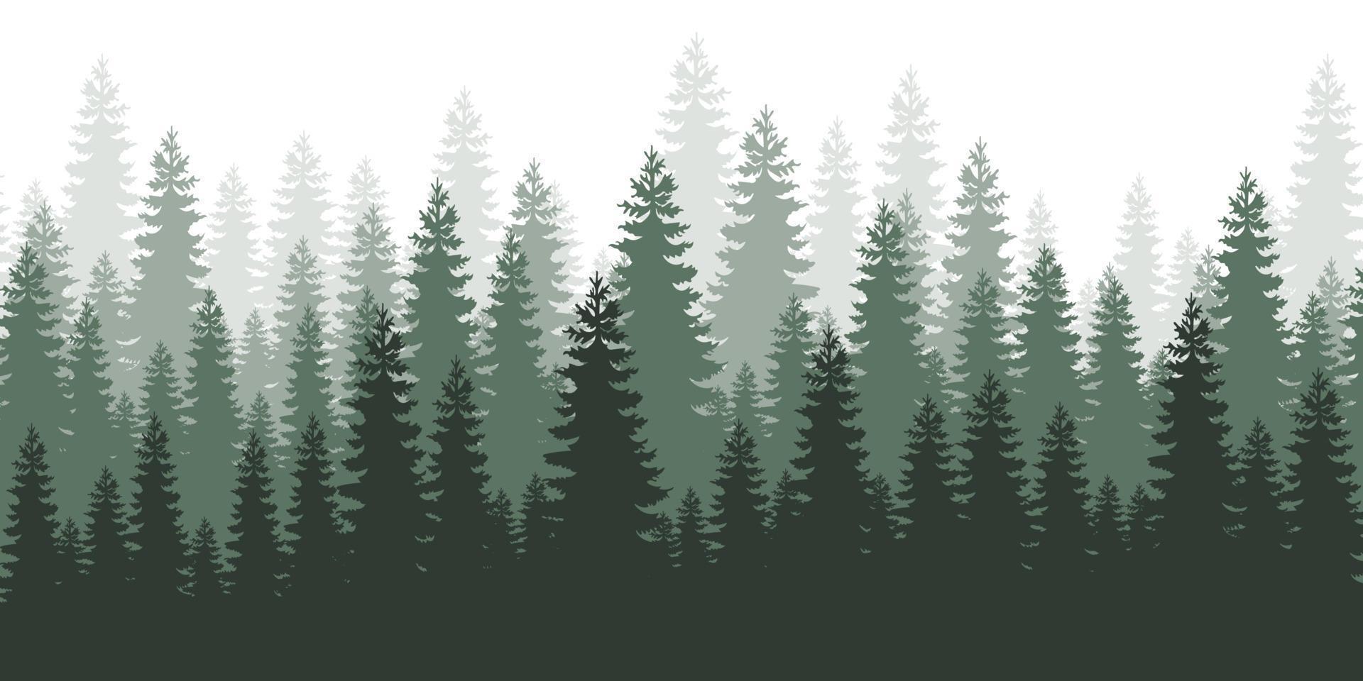 Horizontal forest landscape. Layered trees background. Evergreen coniferous trees. vector