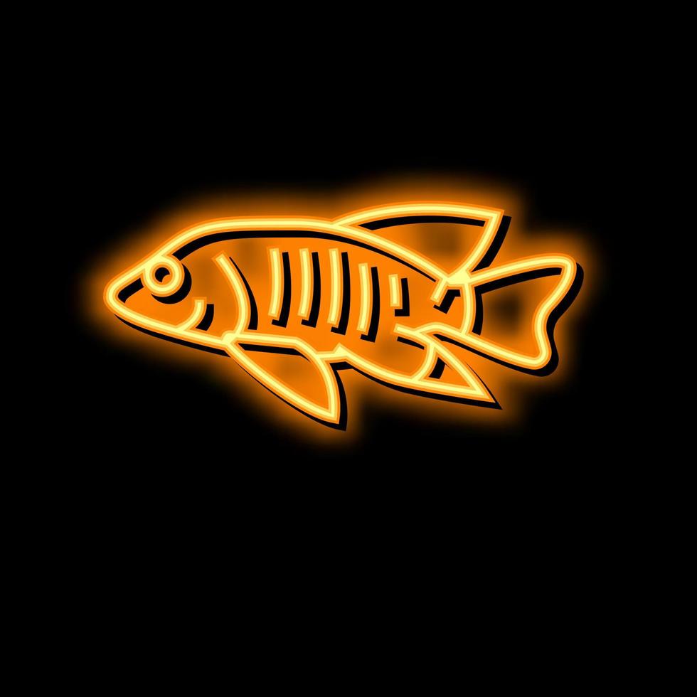 african cichlids neon glow icon illustration vector