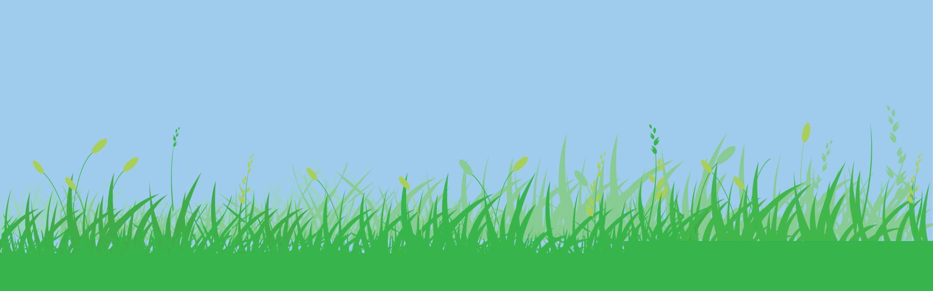 Green grass meadow border vector pattern. Spring or summer plant field lawn. Grass background.