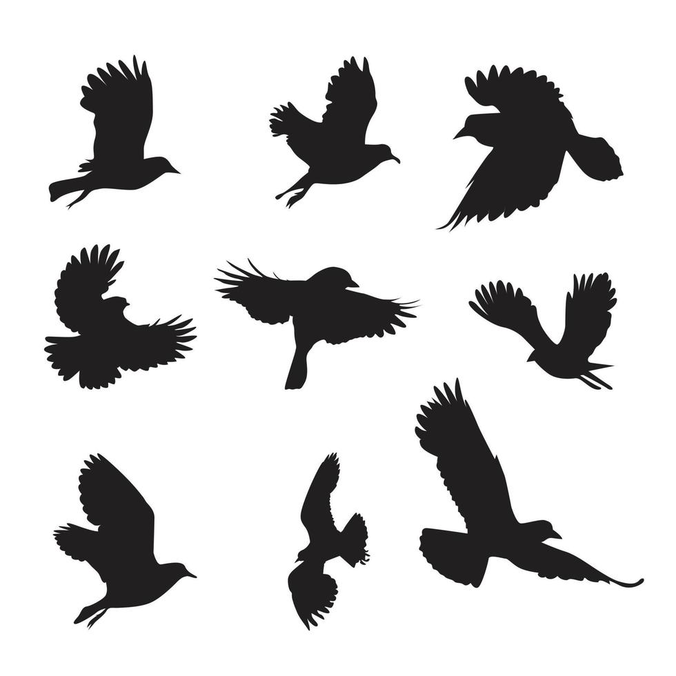 Flying birds vector set design.