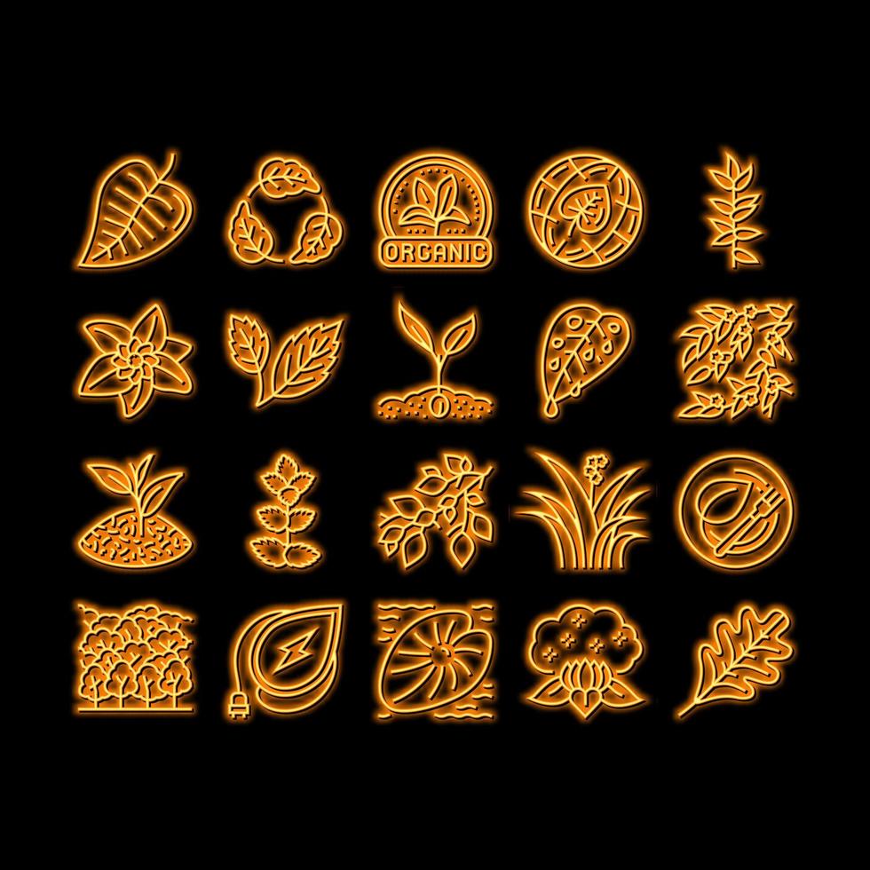 Leaf Branch Natural Foliage Tree neon glow icon illustration vector
