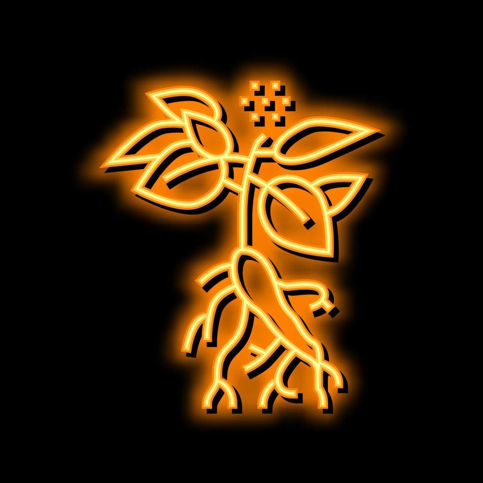 ginseng planta neón resplandor icono ilustración vector