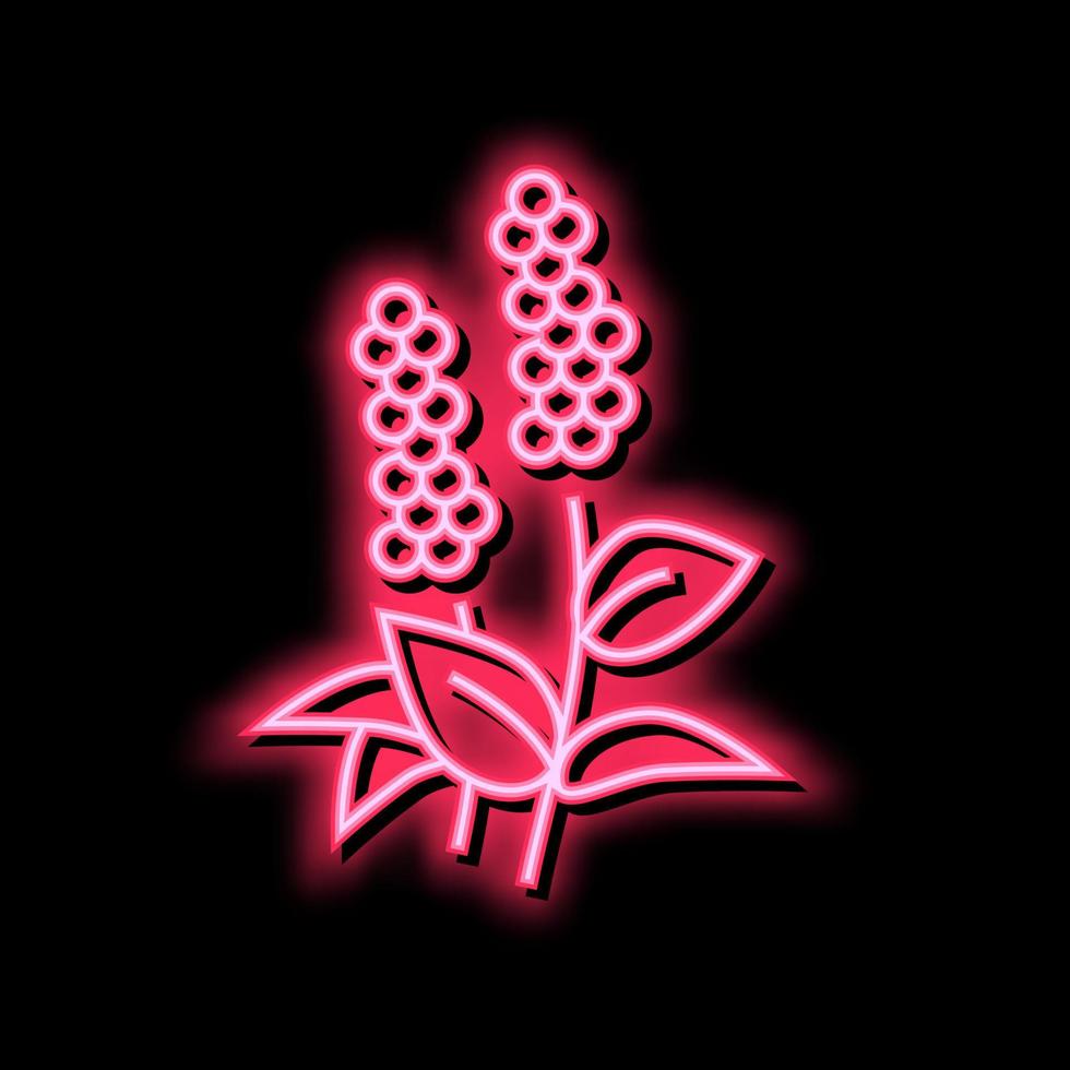 patchouli flowers aromatherapy neon glow icon illustration vector