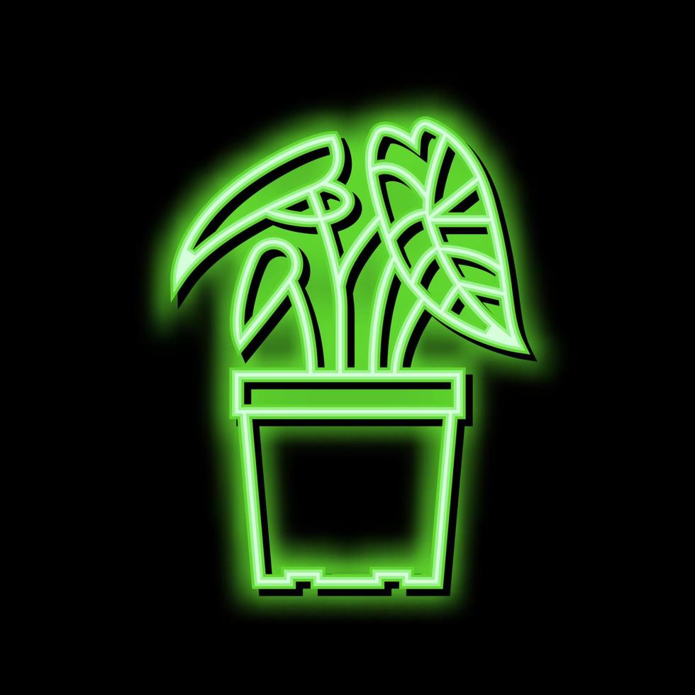 tropical planta de casa neón resplandor icono ilustración vector