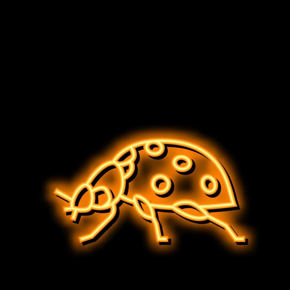 ladybug insect neon glow icon illustration vector