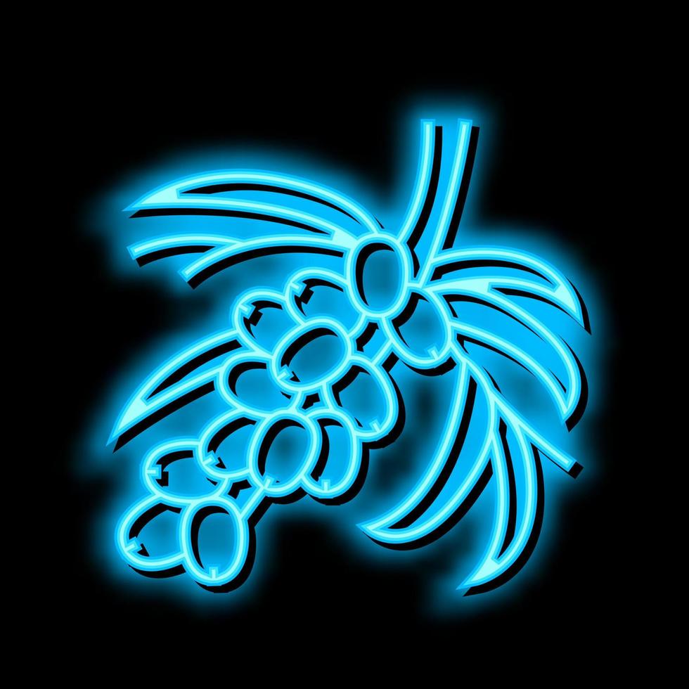 buckthorn berry tree branch neon glow icon illustration vector