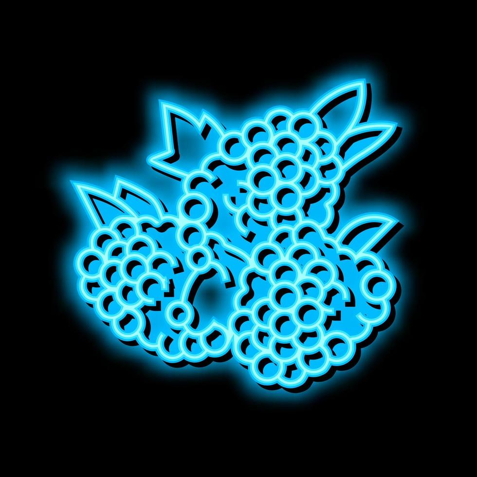 raspberry berry neon glow icon illustration vector