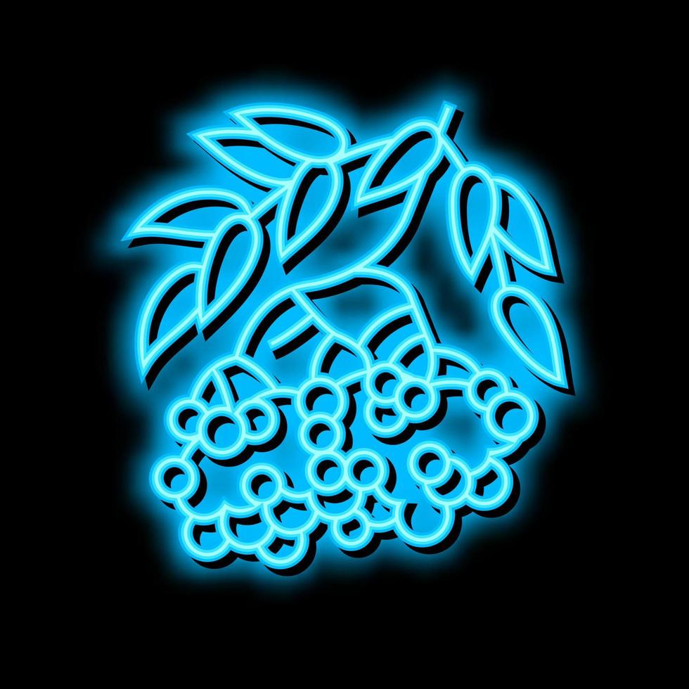 rowan berry neon glow icon illustration vector