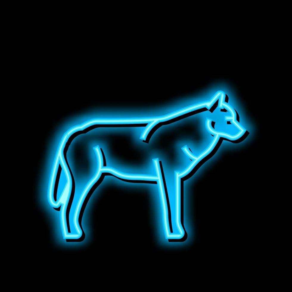 wolf wild animal neon glow icon illustration vector