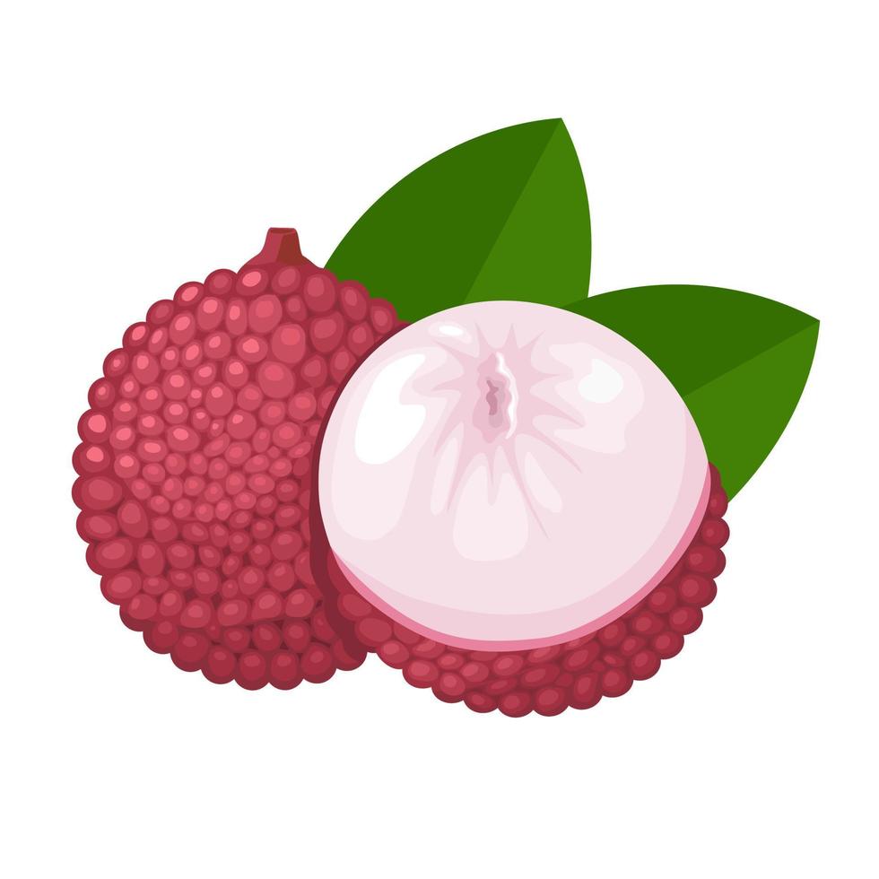 Vector illustration, lychee fruit with green leaves, isolated on white background.