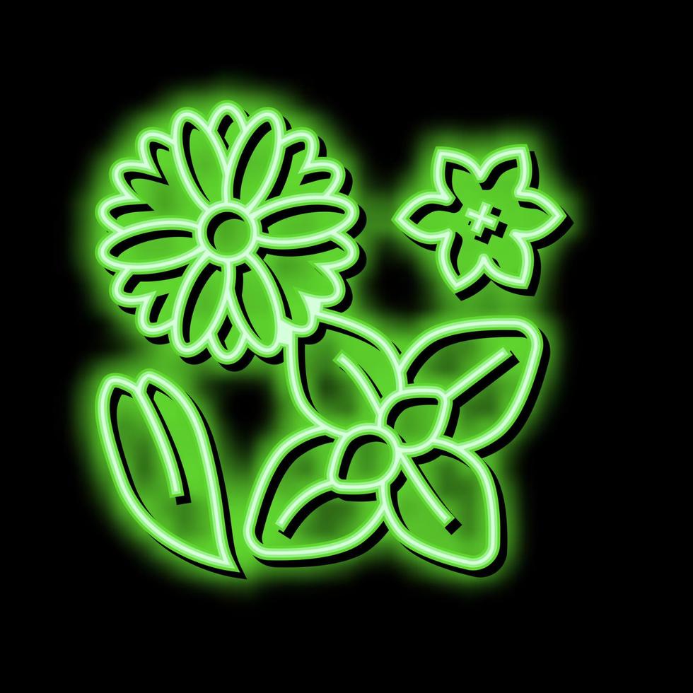 flowers phytotherapy neon glow icon illustration vector