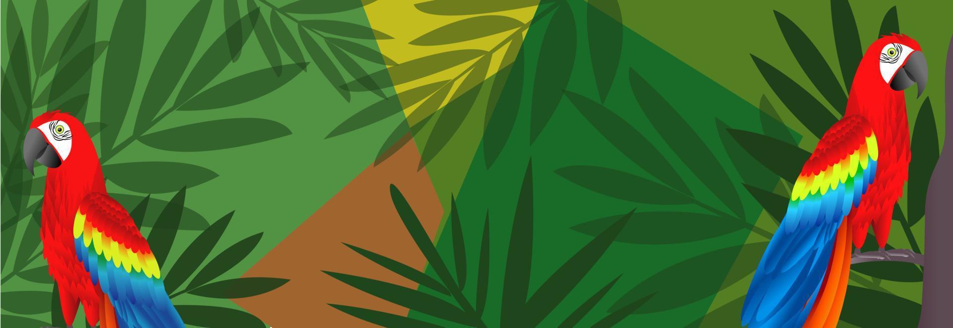 Amazon jungle parrot background beautiful illustration vector
