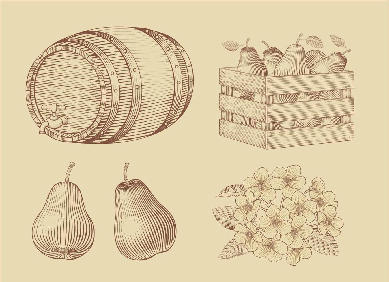 Engraved elements of a wooden barrel dispenser, a crate of pears, pears and its flower isolated on light brown background vector