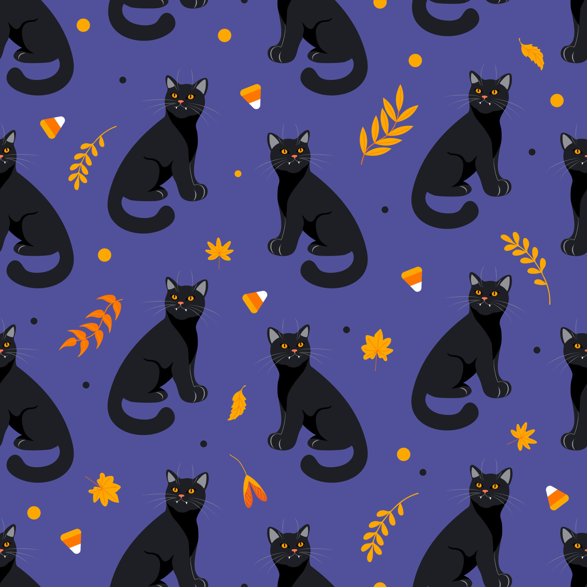 Black cat waiting for halloween HD wallpaper download