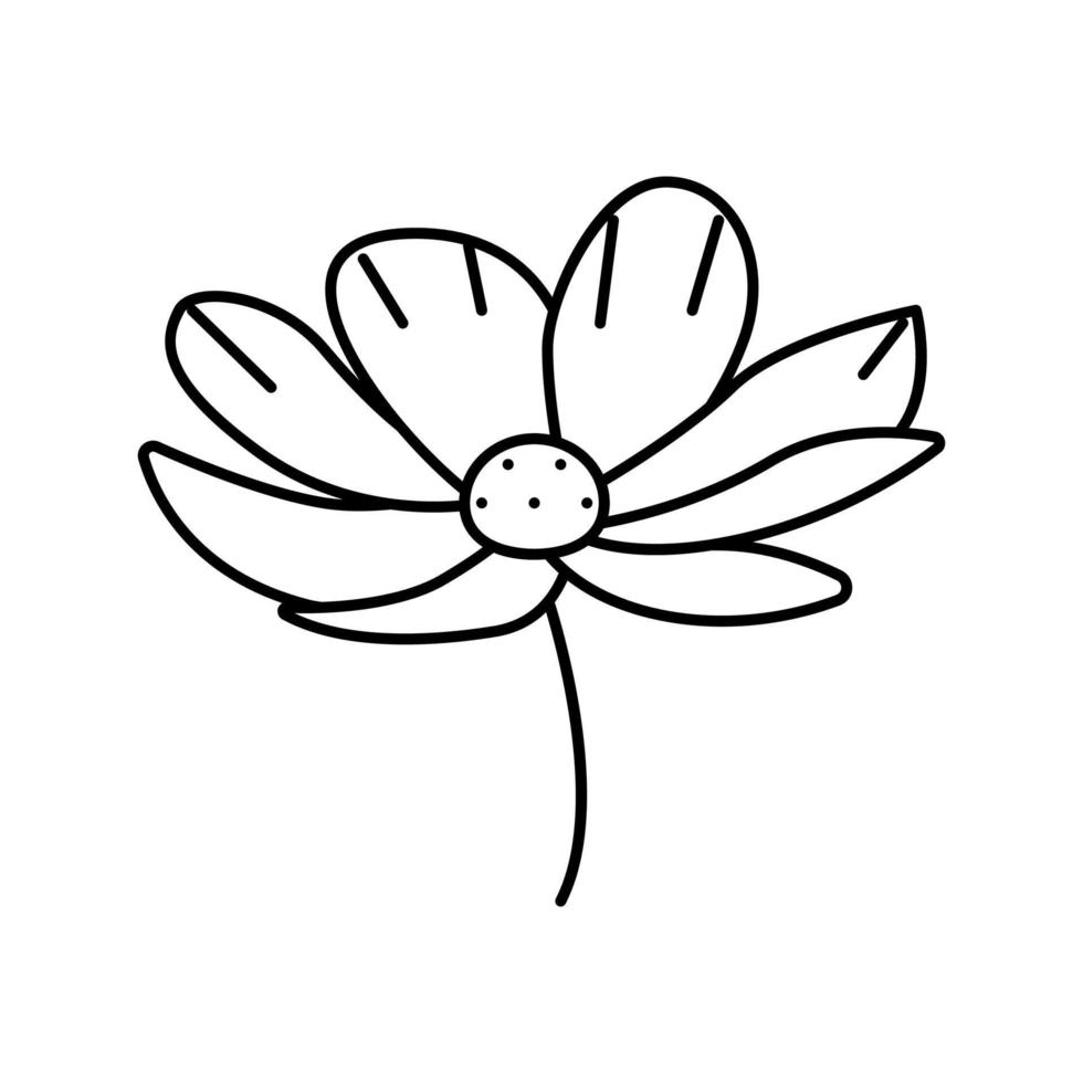 cosmos flower spring line icon vector illustration