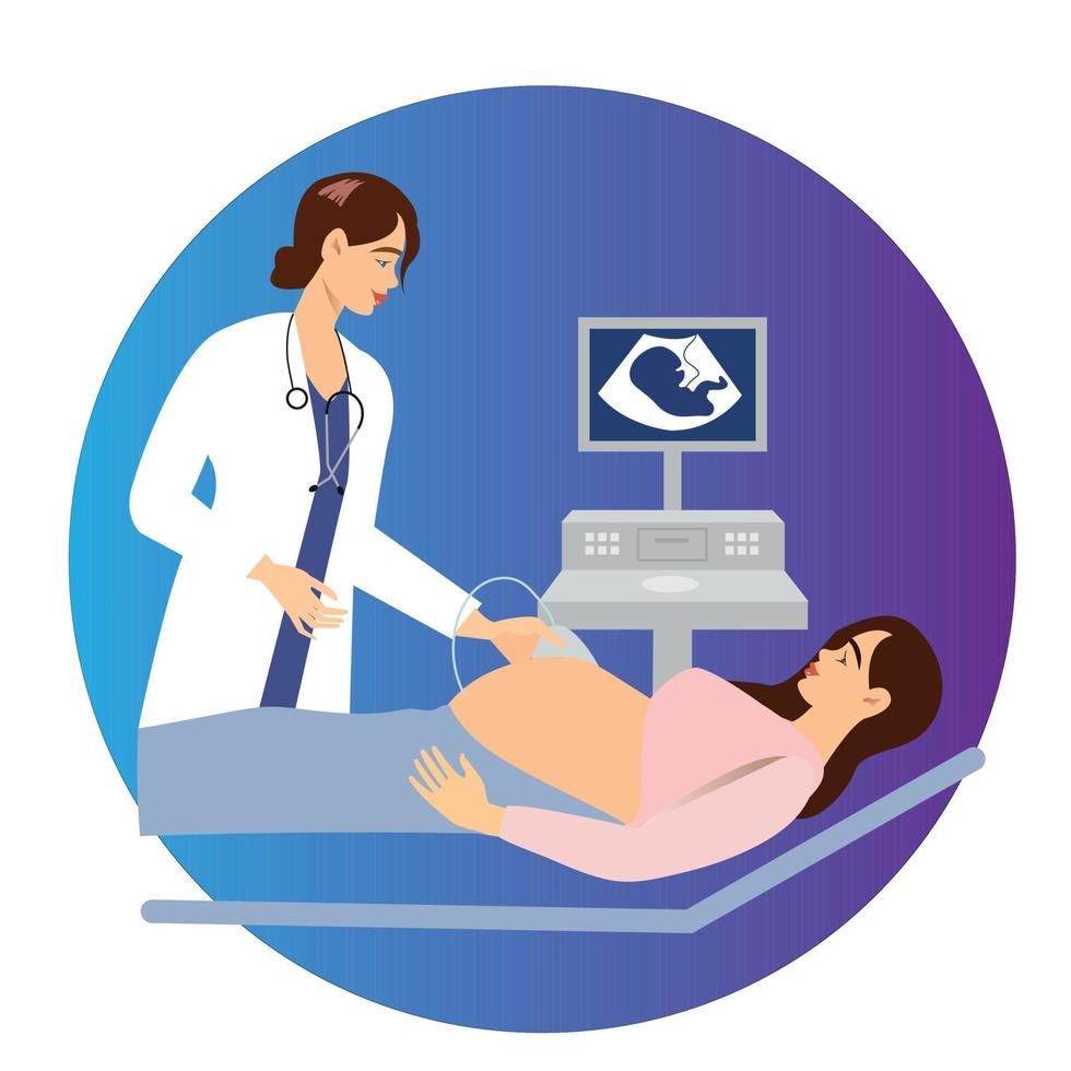 Sonographer scanning and examining pregnant woman in hospital medical office. Examination during pregnancy. Concept of medicine ultrasound scan. Happy future mother at medical checkup. vector