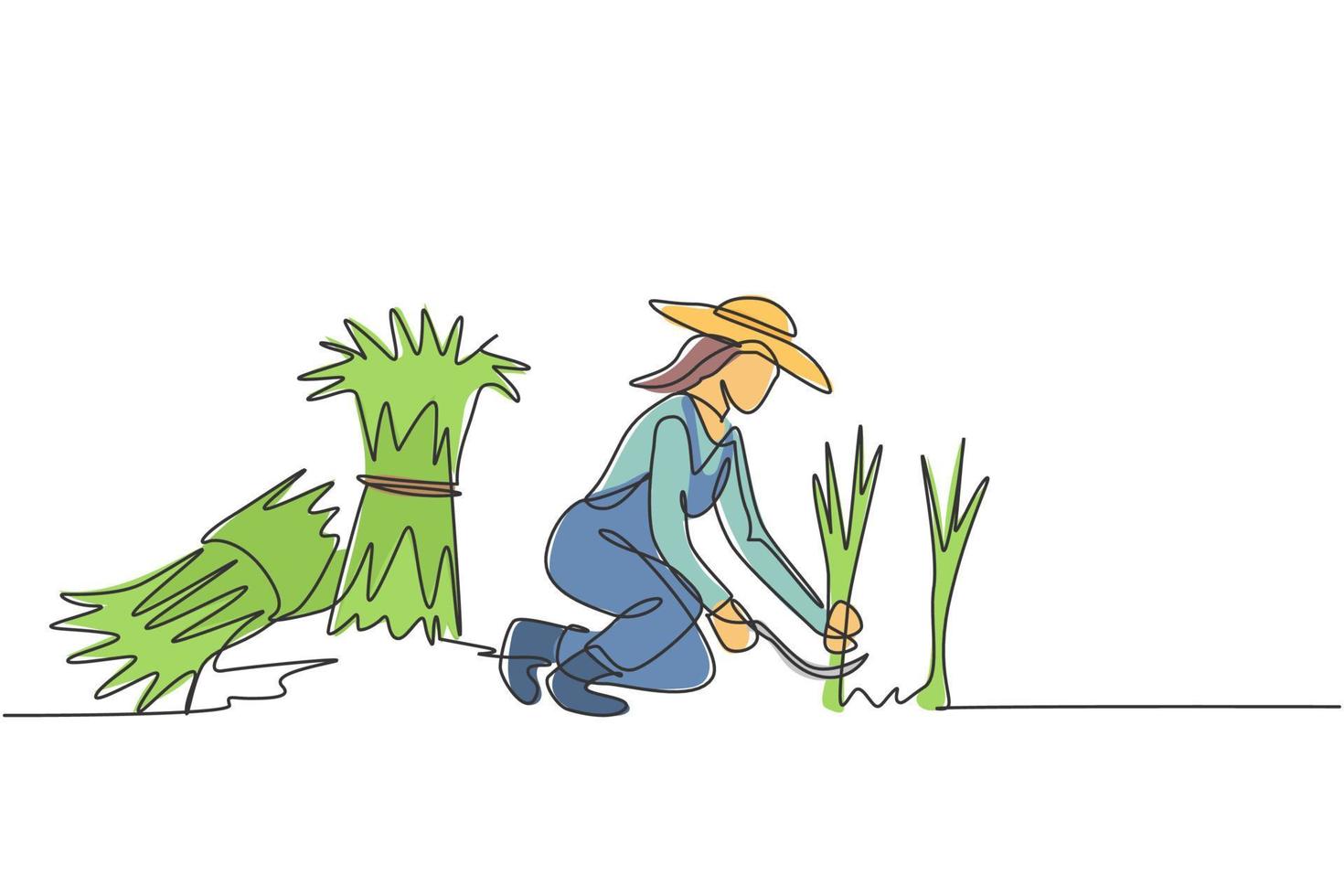 dibujo de línea continua única joven agricultora estaba cosechando arroz y también había arroz amarrado. concepto de minimalismo agrícola. Ilustración de vector de diseño gráfico de dibujo de una línea.