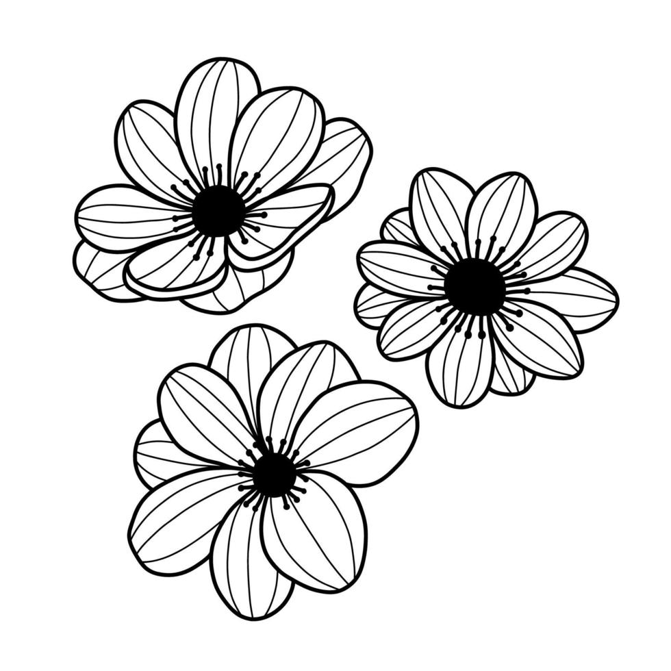 Hand drawn abstract anemones on white background. Sketch of flowers. Outline doodle plants. Black and white vector illustration.