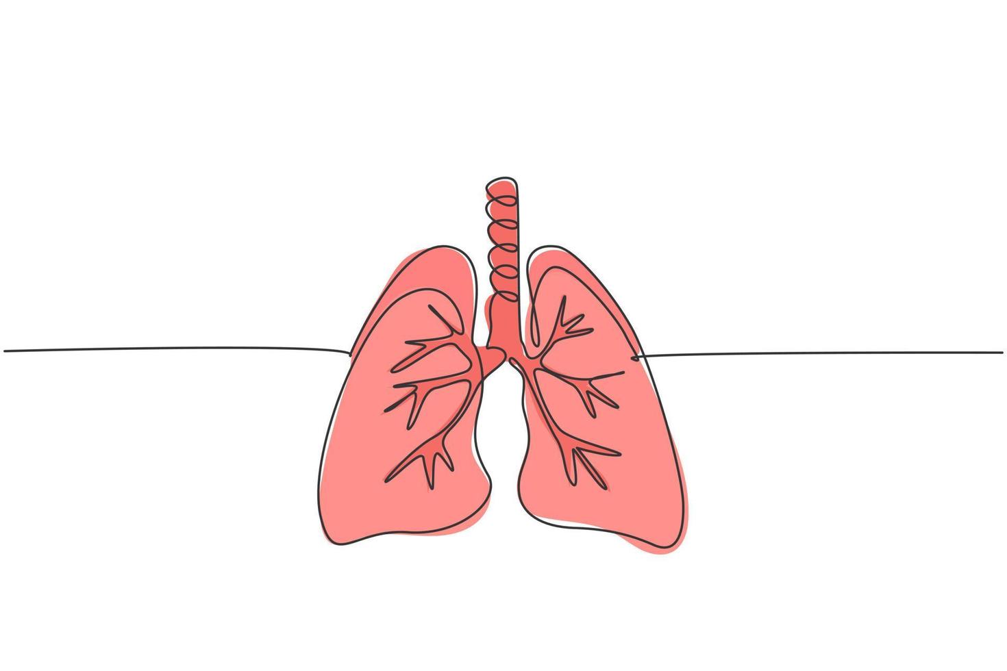 One continuous line drawing of anatomical human lungs organ. Dynamic medical internal anatomy concept. Single line draw graphic design vector illustration