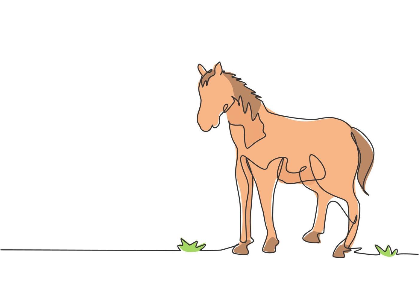 una línea continua dibujando un caballo parado firmemente en el pasto. negocio ganadero exitoso dirigido por agricultores profesionales. concepto de minimalismo. Ilustración gráfica de vector de diseño de dibujo de una sola línea.