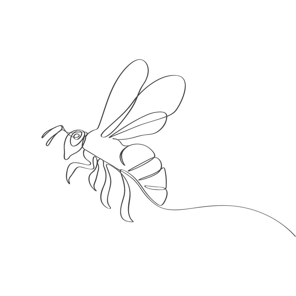 Honey bee hand drawn continues line art drawing vector