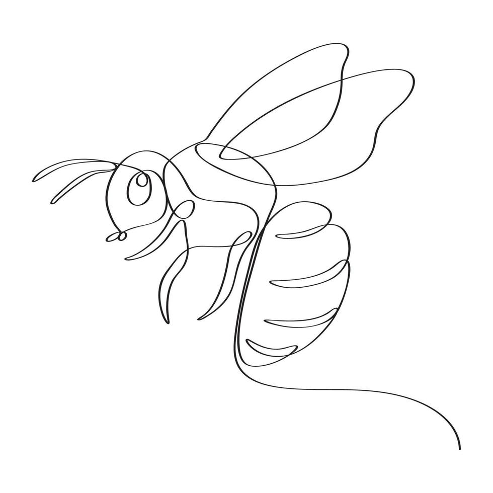 Hand-drawn honey bee continues line art drawing vector