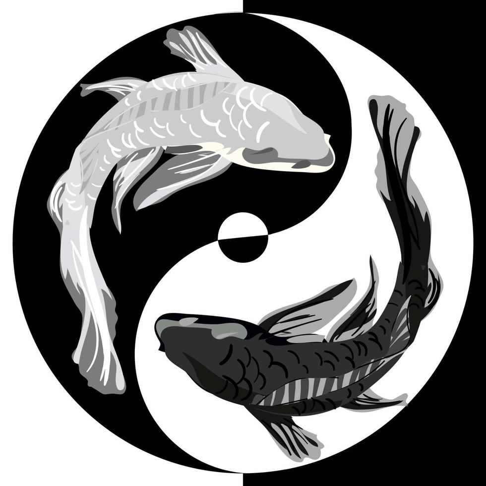 Koi jerks in the yin yang sign. White and black Asian carp in the symbol of life, movement, good and evil. Asian background, background design with an abstract pattern in Oriental style with koi fish. vector