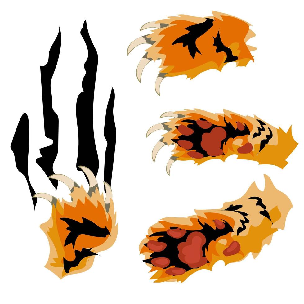 A set of tiger paws from different angles, cutting the material, on a white background. Abstract illustration, simplified spots in layers. The strips are torn. Banner printing, flyers vector