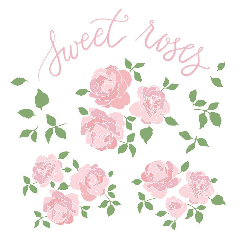 Pink Roses Set vector