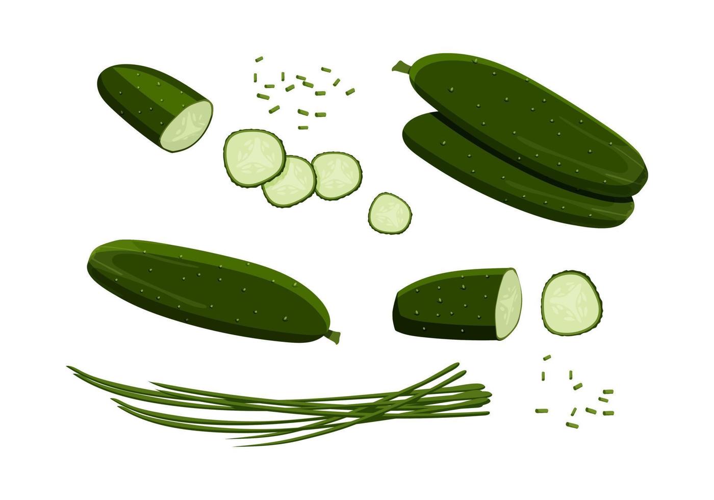 Collection of fresh cucumbers. A pair of cucumbers, a whole cucumber, a half, a slices of cucumbers and spring onion. Isolated vegetables on a white background. Vector flat stickers