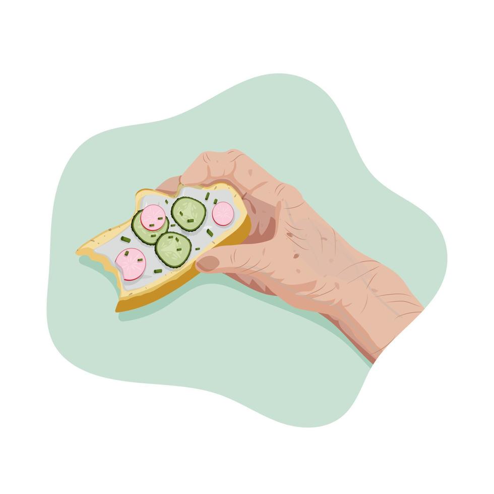 Right hand of old man and bitten off healthy vegan sandwich with cucumber, radish and spring onion on wheat bread. Personal point of view. Eating. Vector flat isolated concept.