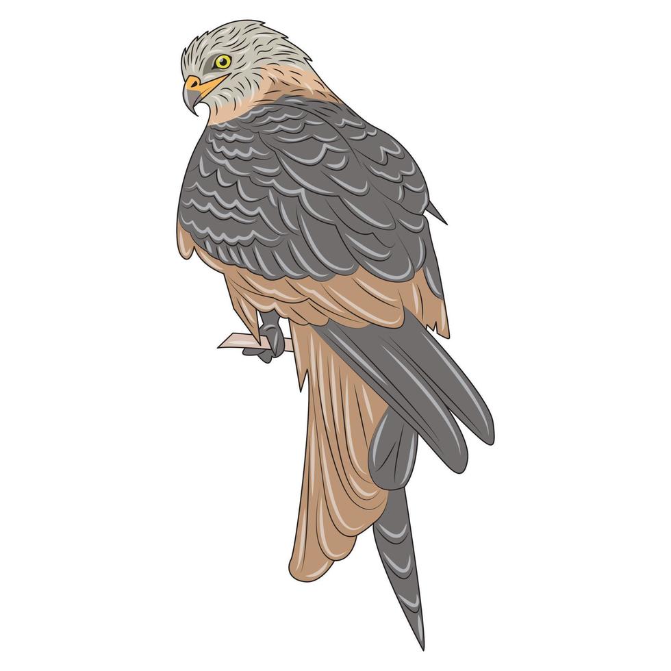 Falcone with head bright green eyes and bird on wood vector
