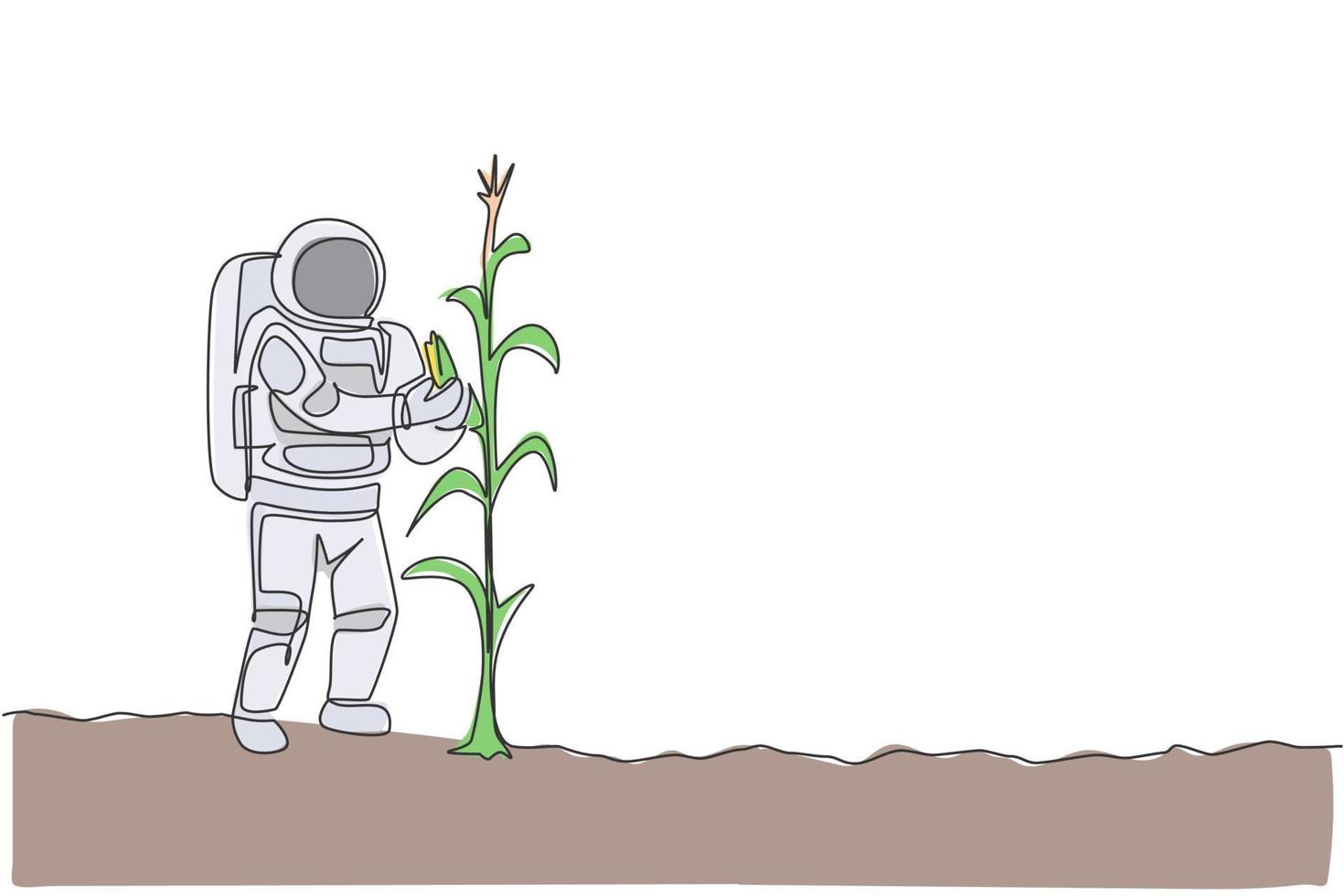 One continuous line drawing of spaceman picking sweet corn from plant in moon surface. Deep space farming astronaut concept. Dynamic single line draw graphic design vector illustration